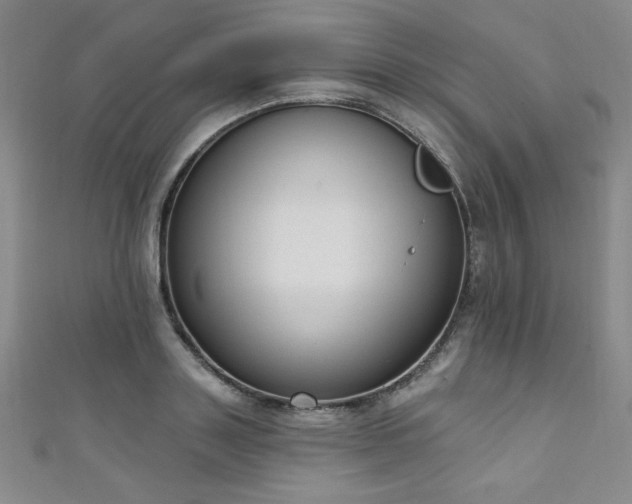 X0000111130843200906301208