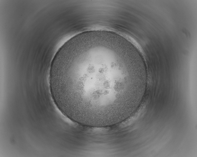 X0000111130847200906301208