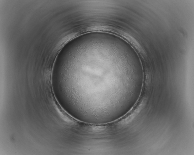 X0000111130849200906301208