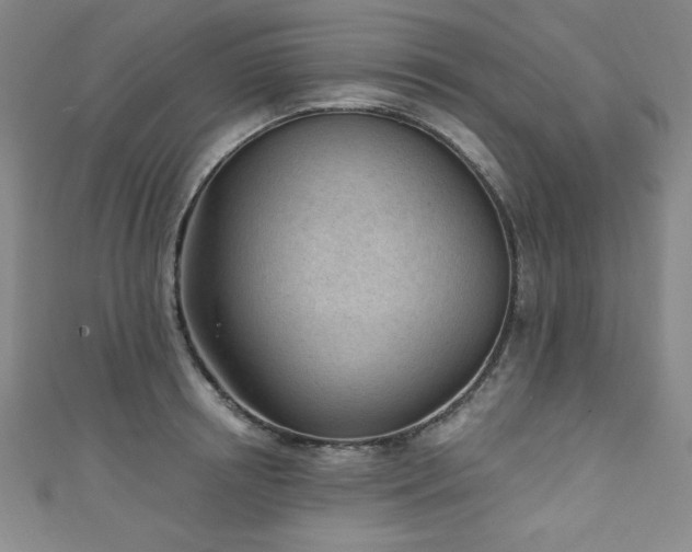 X0000111130850200906301208