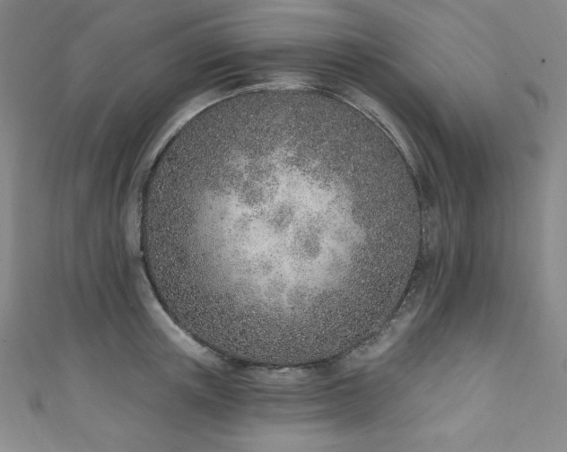 X0000111130851200906301208