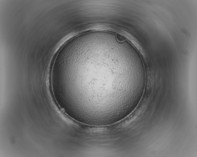 X0000111130853200906301208