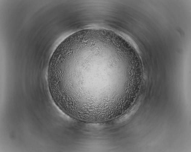 X0000111130855200906301208