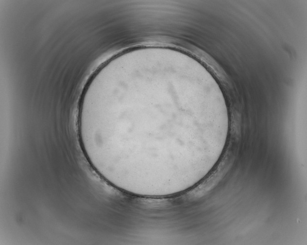 X0000111130856200906301208