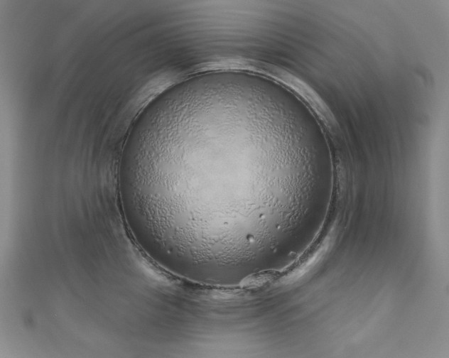X0000111130857200906301208