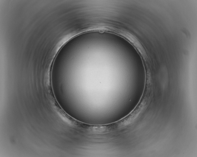 X0000111130858200906301209