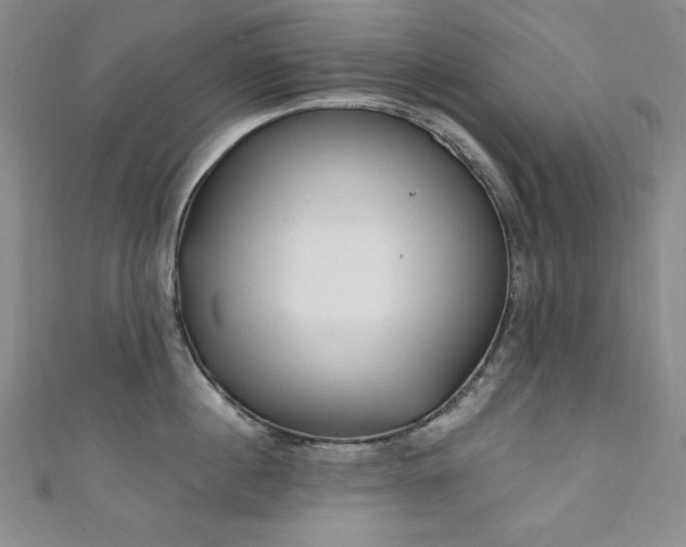 X0000111130860200906301209