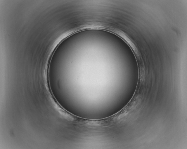 X0000111130861200906301209