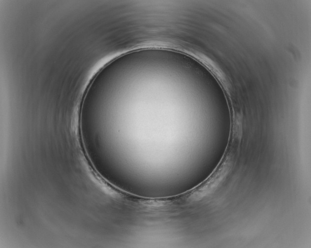 X0000111130862200906301209