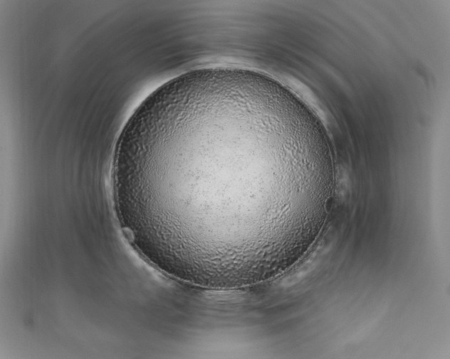 X0000111130863200906301209