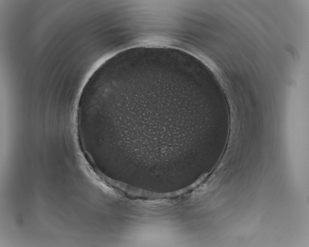 X0000111130864200906301209