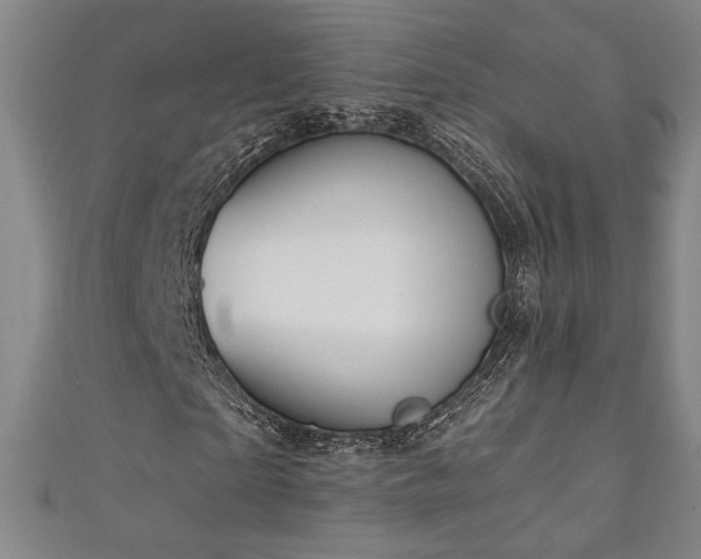 X0000111130865200906301208