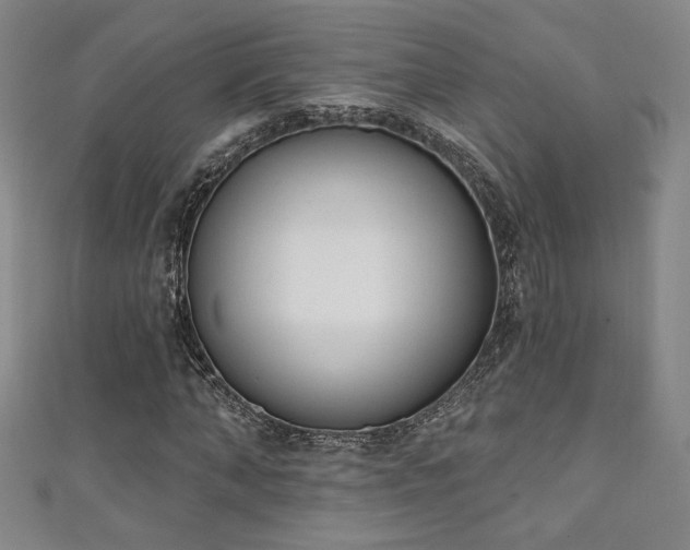 X0000111130870200906301208