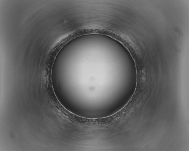 X0000111130872200906301208