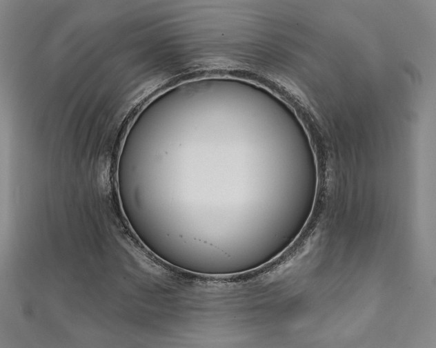 X0000111130873200906301208