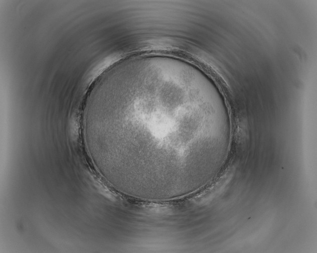 X0000111130874200906301208