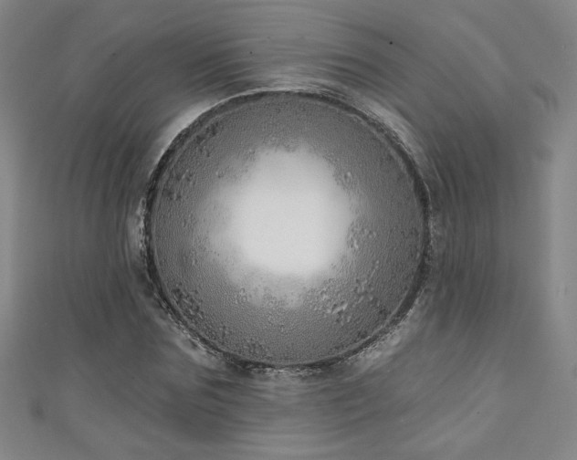 X0000111130875200906301208