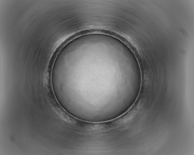X0000111130879200906301208