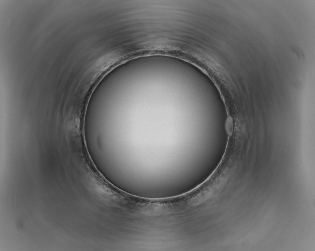 X0000111130881200906301208