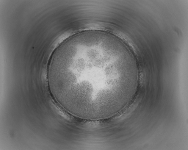 X0000111130882200906301208