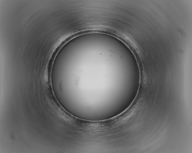 X0000111130883200906301208