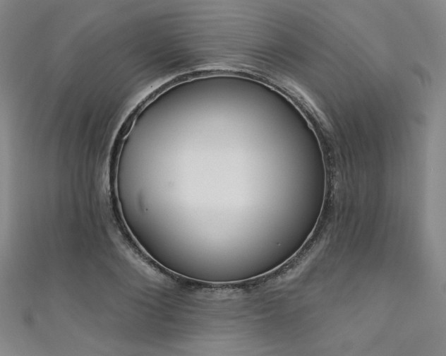 X0000111130884200906301208