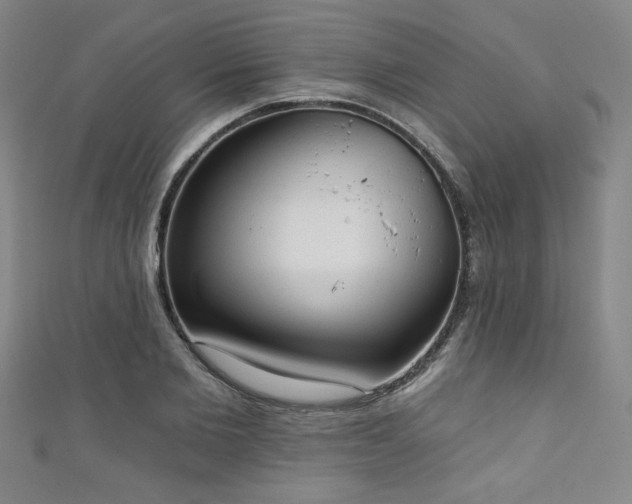 X0000111130885200906301208