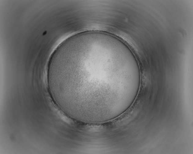 X0000111130886200906301208