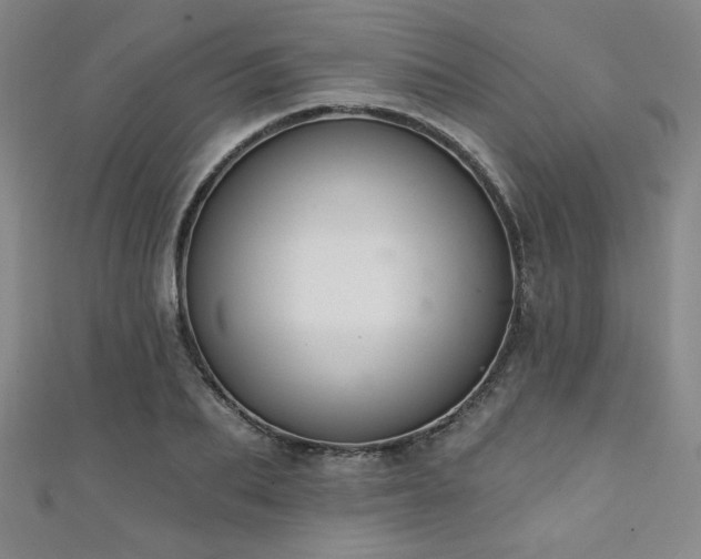 X0000111130887200906301208