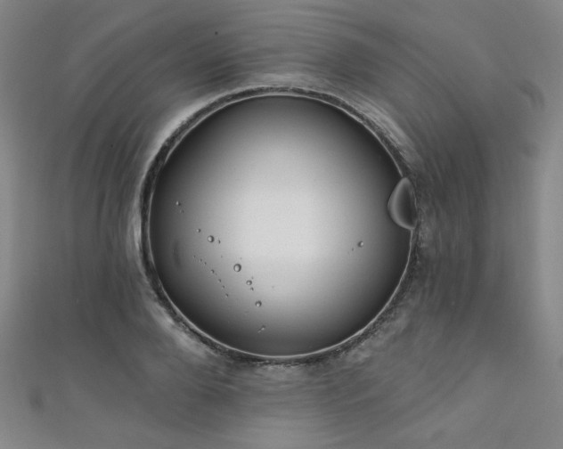 X0000111130888200906301208