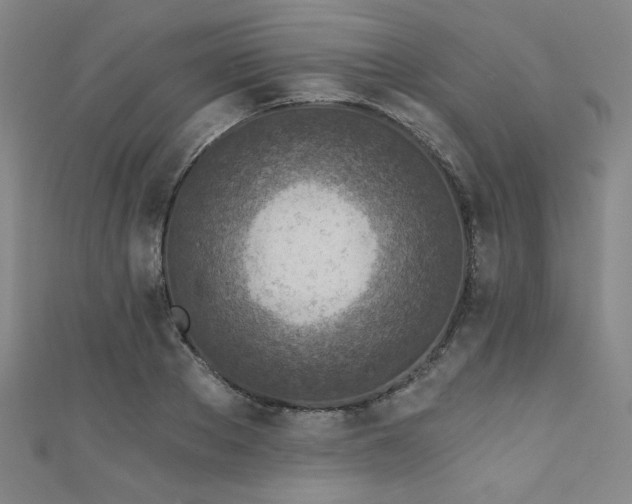 X0000111130889200906301208