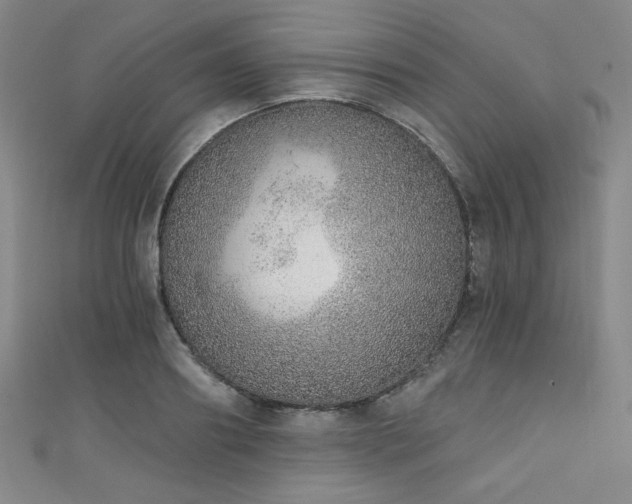 X0000111130890200906301208