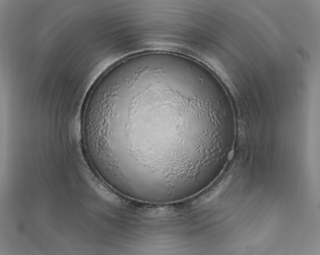 X0000111130891200906301208