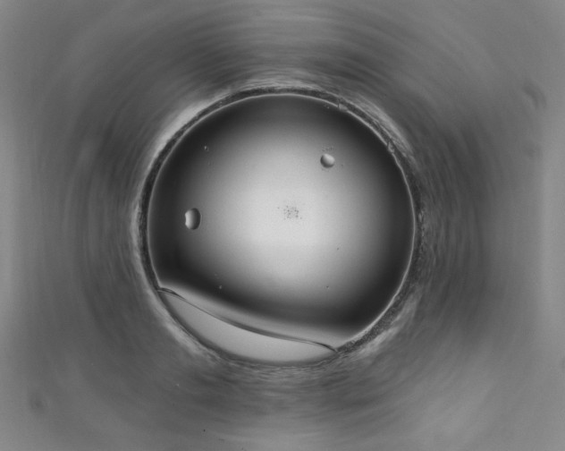 X0000111130893200906301208