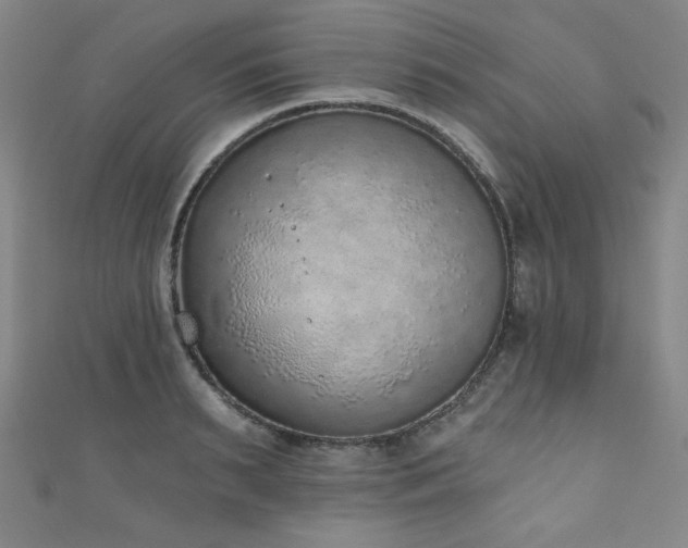 X0000111130895200906301208