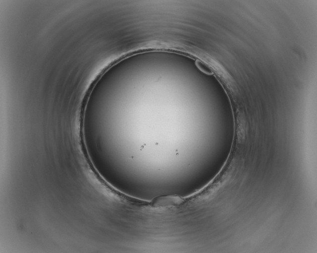 X0000111130896200906301208