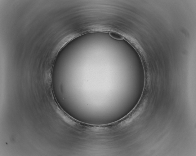 X0000111130897200906301208
