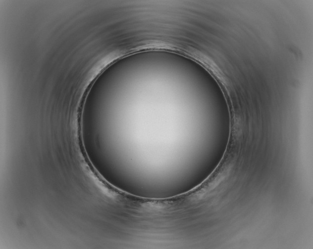 X0000111130898200906301208