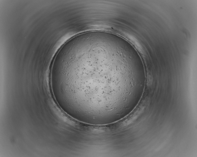 X0000111130899200906301208