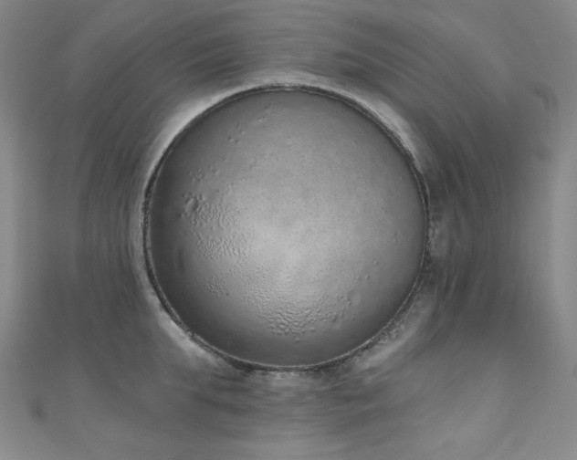 X0000111130903200906301207