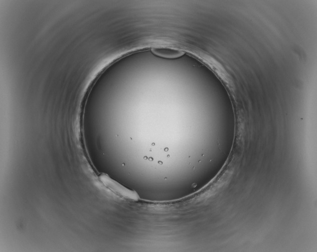 X0000111130904200906301207