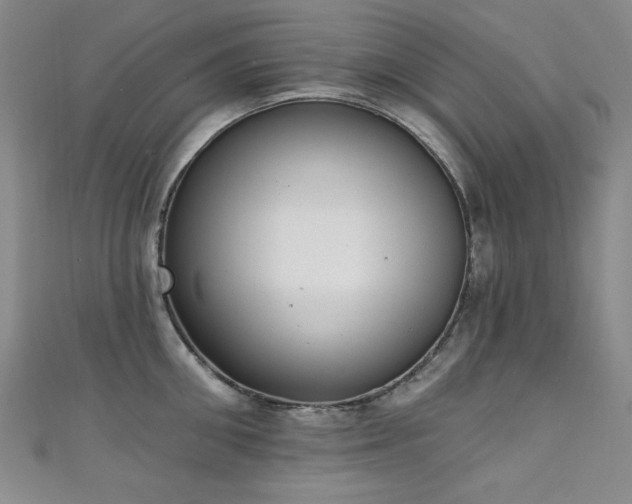 X0000111130906200906301207