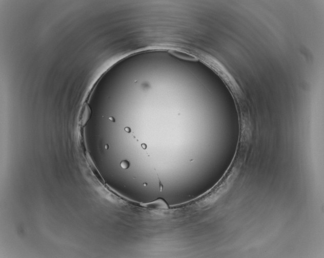 X0000111130908200906301207