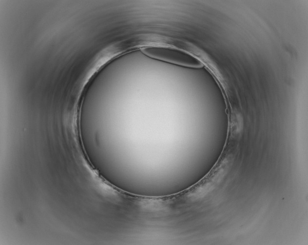 X0000111130909200906301207