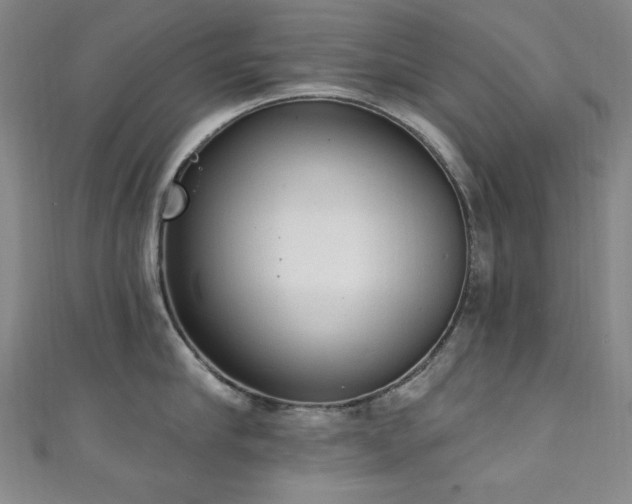 X0000111130910200906301207