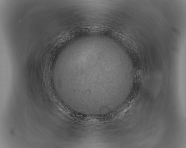 X0000111130913200906301207