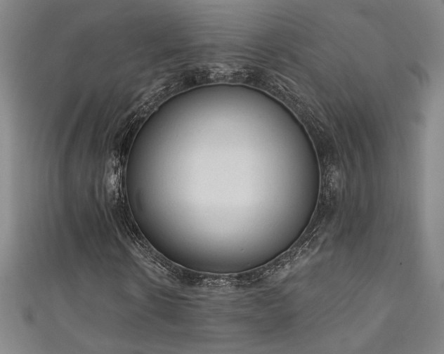 X0000111130914200906301207