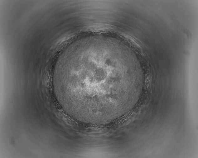 X0000111130917200906301207