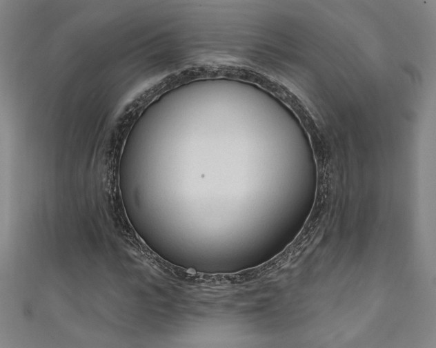 X0000111130919200906301207