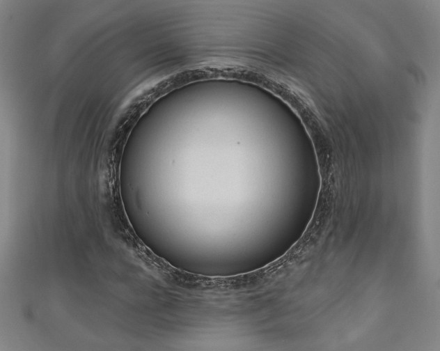 X0000111130920200906301207